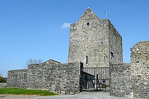 Athenry castle - geograph.org.uk - 1259153