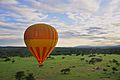 Ballooning Away in Maasai Mara