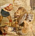 Barbary Lion in colosseum of Rome