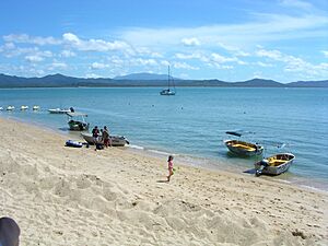 Beach at Dunk Island