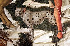Benozzo gozzoli, corteo dei magi, 3 fine, 1459, 44 leopardo