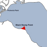 Black Stump Point Lake Wawasee