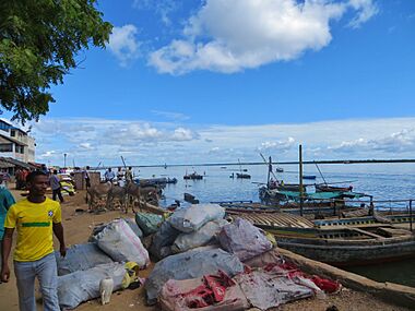 Bord de mer de Lamu