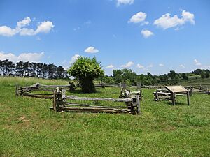Burroughs Family Cemetery (8883669107)