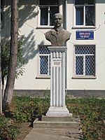 Bustul lui Ion Nistor din Vicovu de Sus.jpg