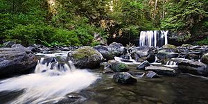 Butte Creek (Oregon).jpg