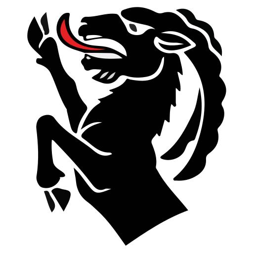 CHE Amtsbezirk Interlaken Flag