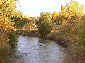 Cache La Poudre River as it flows through northern Fort Collins, Colorado.jpg