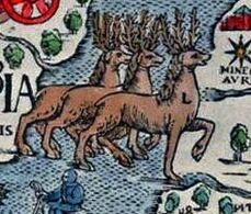 Carta Marina - reindeer crossing a frozen lake