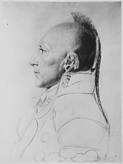 Chief of the Little Osages, bust-length, profile showing hair style, 1807 - NARA - 532931
