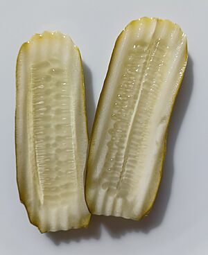Claussen pickles.jpg