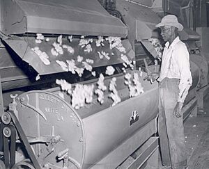 Cotton Gin - Flickr - USDAgov