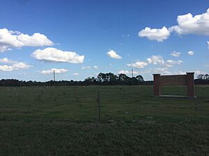 Deseret Ranch (St. Cloud, Florida) P001