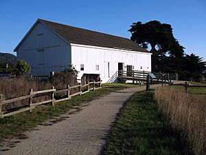 Dickerman Barn, Ano Nuevo State Park, Cabrillo Highway, Pescadero, CA 10-30-2011 4-13-09 PM