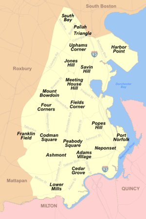 Dorchester, MA Neighborhoods June 2020 Update