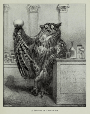EmbryologyLectureWolf