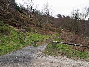 Entrance to Fox Hagg nature reserve - geograph.org.uk - 724007