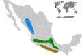 Ergaticus ruber map