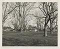 Fazendeville Community from the American Rampart Line (George Statham, 1958)