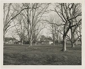 Fazendeville Community from the American Rampart Line (George Statham, 1958)
