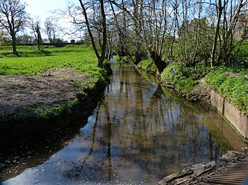 Finham Brook in Kenilworth geograph - 4443365.jpg