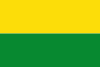 Flag of Vichada Department