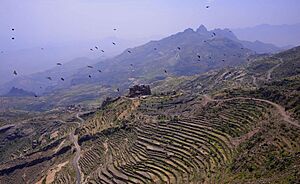 Haraz Mountains, Yemen (12633745063)