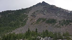 Herd of mountain goats on Three Fingered Jack