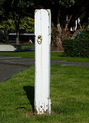 Hitching Post, Palmerston North in New Zealand (13)