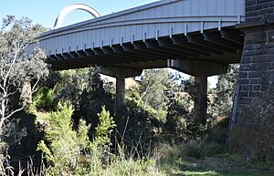 Keilor Old Iron Bridge 007