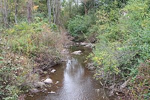 Little Catawissa Creek from the Schuylkill County Bridge No. 95