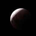 Lunar Eclipse (39971126492)