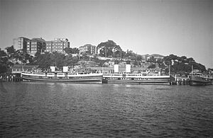 Manly ferries at Kurraba Point depot