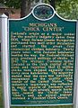 Michigan Chick Center