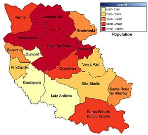 Microregion-ribeirao-preto