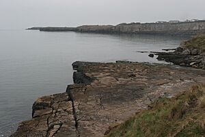 MoelfreRocks
