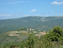 A general view of Montgaillard