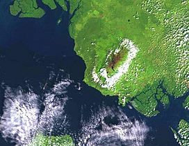 Mount Cameroon and Bioko montane forests, satellite view.jpg
