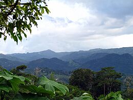 Mountain view PR-129 in Piletas, Lares, Puerto Rico