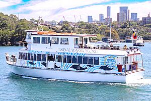 Mv mari Nawi from wirawi.jpg