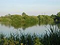 North Met Pit, Cheshunt Gravel Pits - geograph.org.uk - 465961
