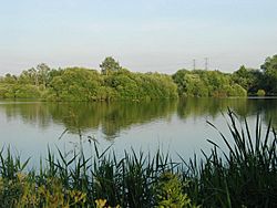 North Met Pit, Cheshunt Gravel Pits - geograph.org.uk - 465961