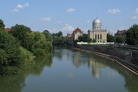 Oradea-Nagyvárad - Crişul Repede and synagogue