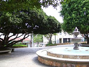 The Central Plaza of Aguas Buenas in 2007