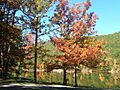 Poe Valley State Park, fall of 06