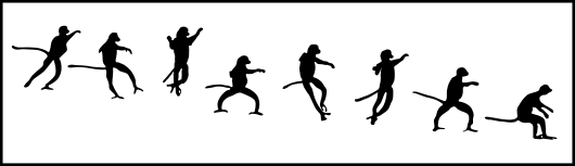 Propithecus bipedal gallop