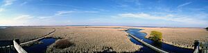 Pt Pelee Marsh Boardwalk