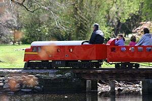 Queen Elizabeth Park Railway, Masterton - panoramio