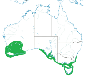 Range map of Thinornis rubricollis