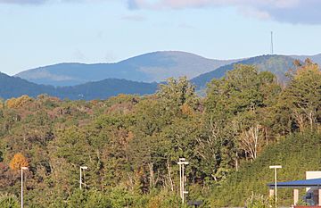 Rich Mountain viewed from GA SR 515.jpg